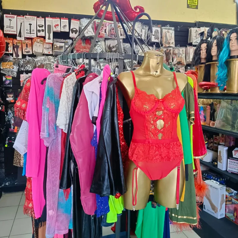 Sex Shop en Puebla - Tienda Física con Lencería y Disfraces | Pointsexshop Interior de sex shop Puebla mostrando exhibición de lencería erótica, disfraces para adultos y accesorios íntimos